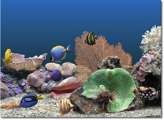 marine-aquarium2
