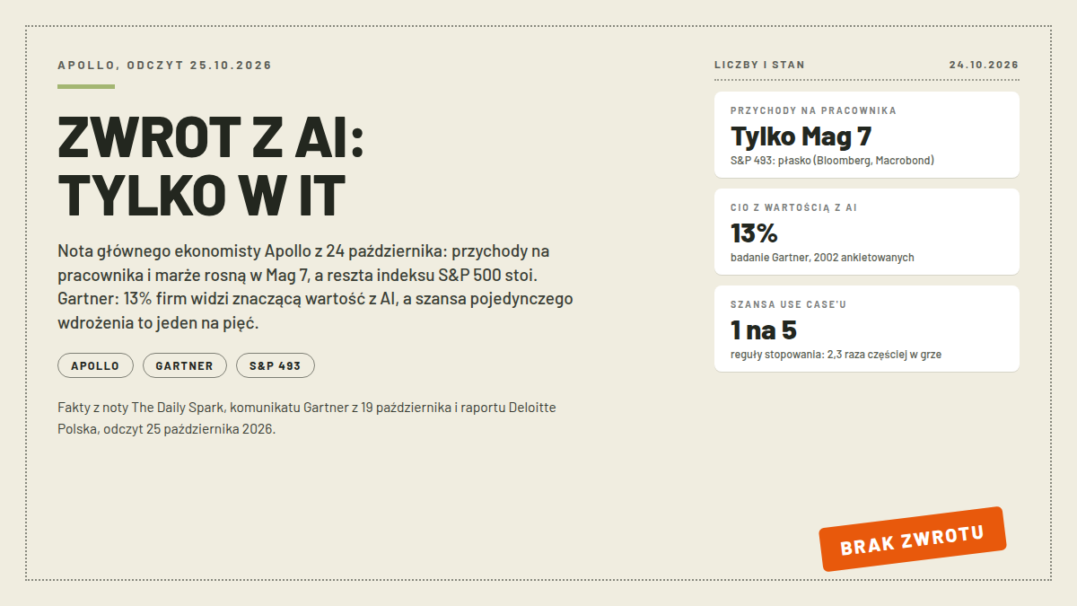 Okładka artykułu o zwrocie z inwestycji w AI: przychody na pracownika rosną tylko w grupie Mag 7, Gartner podaje 13 procent firm z wartością znaczącą, szansa pojedynczego wdrożenia jeden na pięć