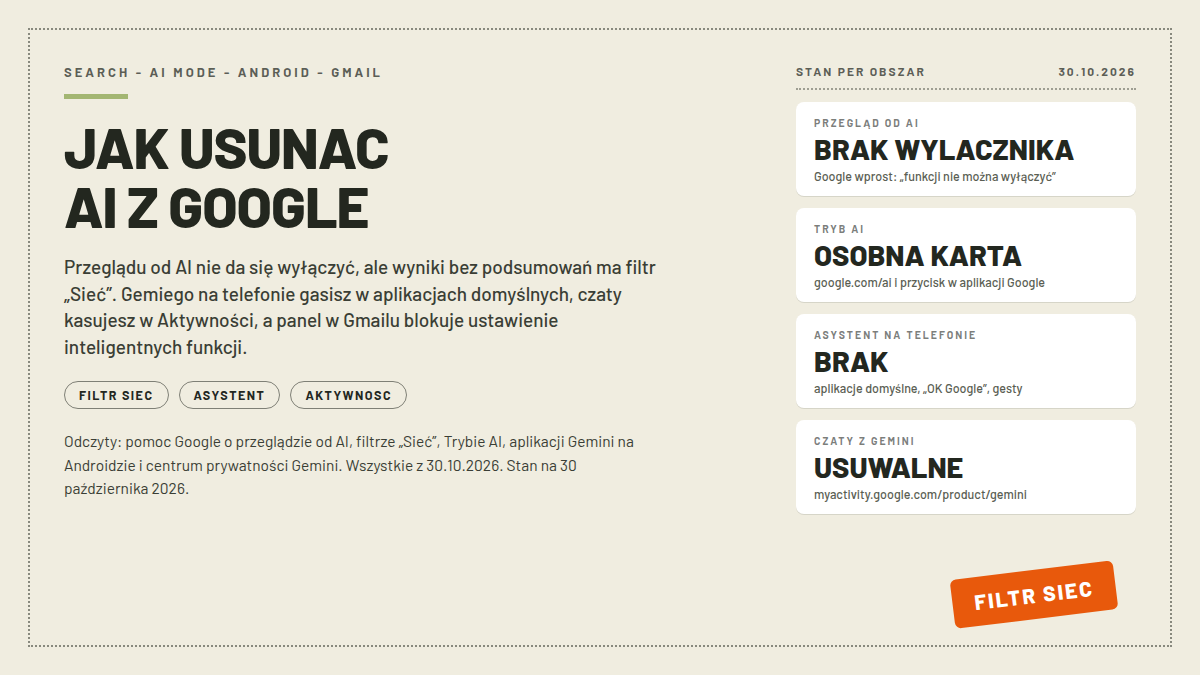 Karta poradnika Jak usunąć AI z Google: cztery białe karty ze stanem per obszar, w tym przegląd od AI bez wyłącznika, Tryb AI jako osobna karta i czaty z Gemimim usuwalne; pieczątka FILTR SIEC; nagłówek JAK USUNAC AI Z GOOGLE; odczyty dokumentacji Google z 30.10.2026