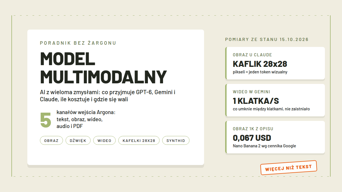 Okładka: trzy karty modeli obok siebie, nad każdą piktogram oka, fali dźwiękowej i klatki filmu, w tle siatka kwadratów przypominająca kafelki